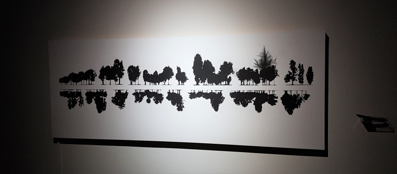 觀音計畫｜曾偉豪｜國藝會補助成果檔案庫